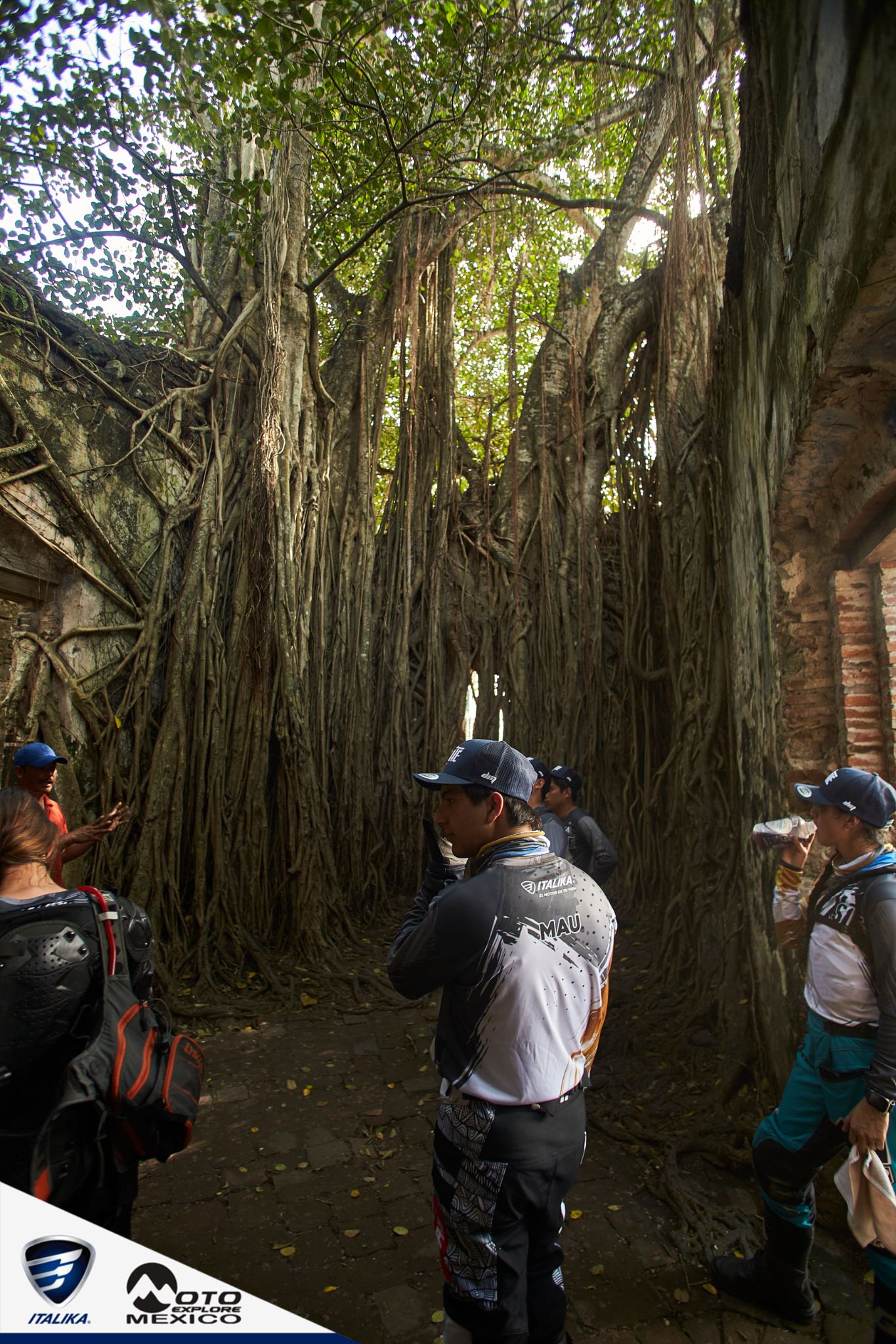 ITALIKA CHACHALACAS D1 273